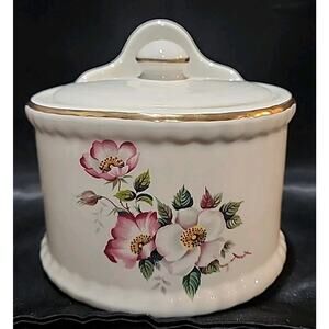 House of Webster Briar Rose dogwood Salt matches canister Box 5 inches Tall